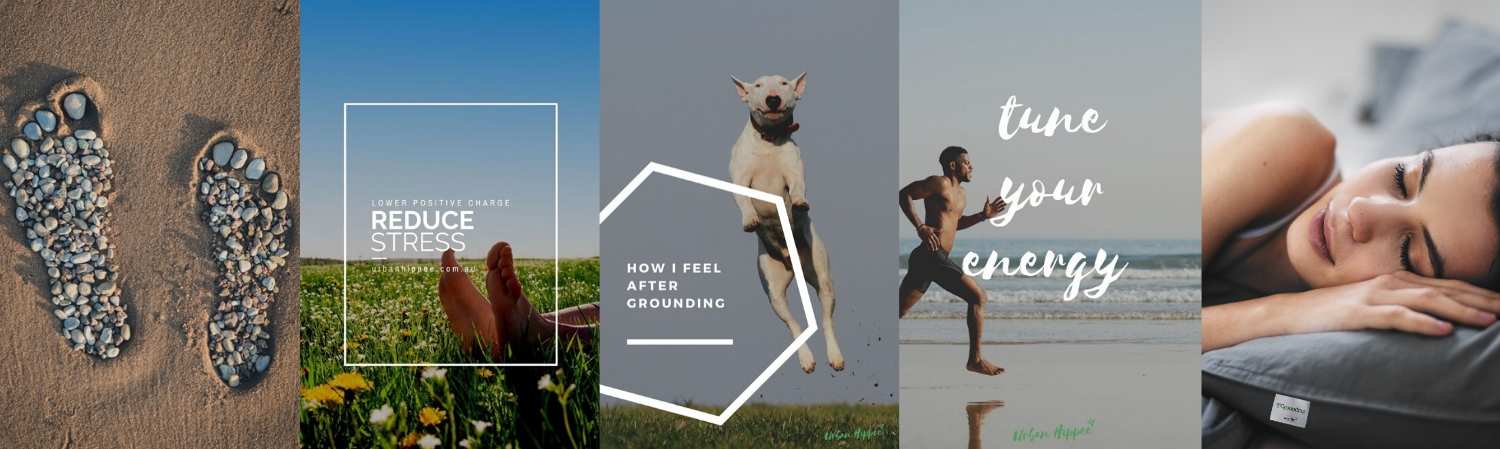 Urban Hippee's Pinterest Account Feed.