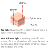 Red light therapy and infrared skin and muscle diagram.