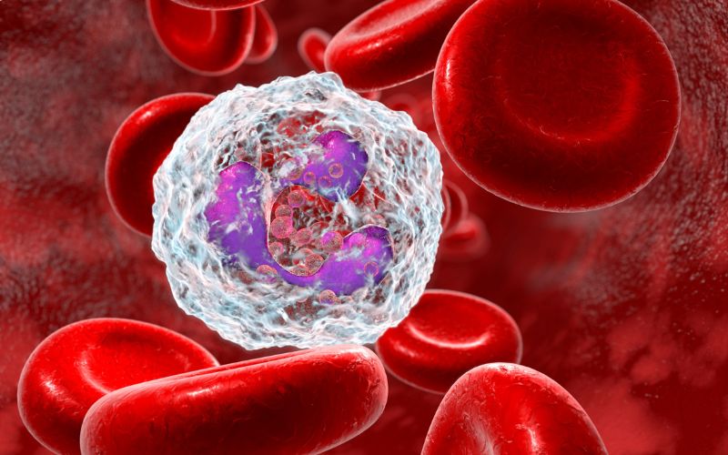 Earthing mat improving the immune system.