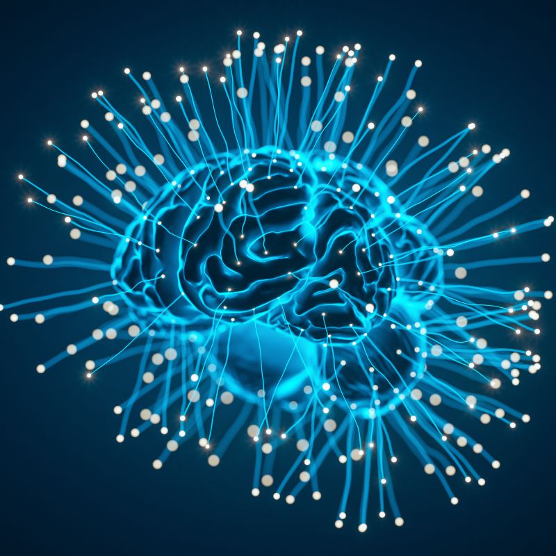 Grounding and the effects on the brain.