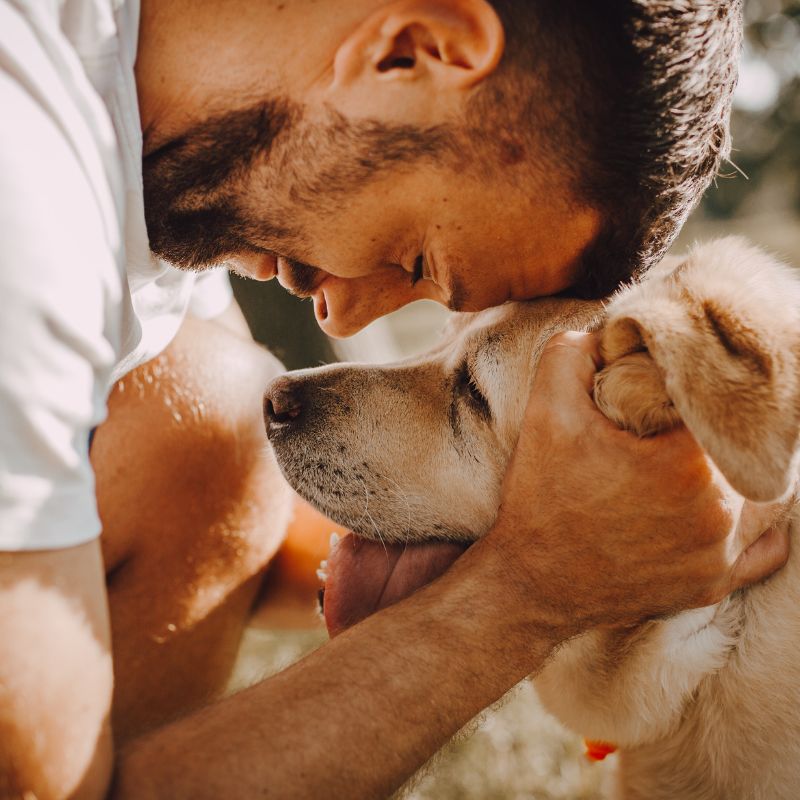 Man hugging dog on grounding mat, aka earthing mat.