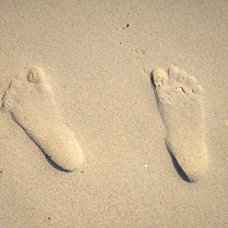 Foot prints in the sand.